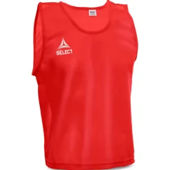 Bib Basic