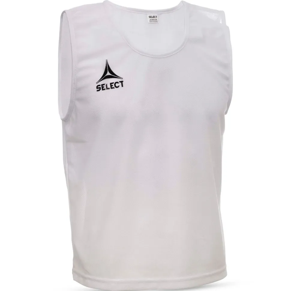 Bib Basic