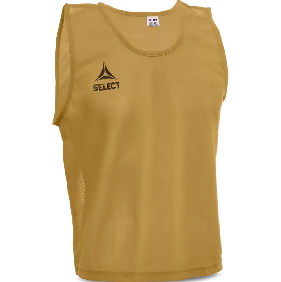 Bib Basic