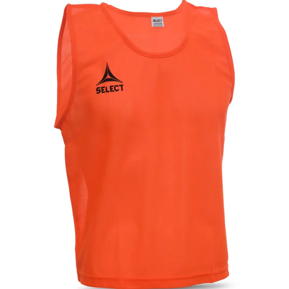 Bib Basic