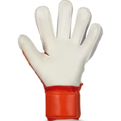34 Protection