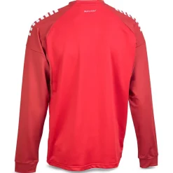 Spain Træningssweatshirt - Børn